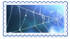 spider web